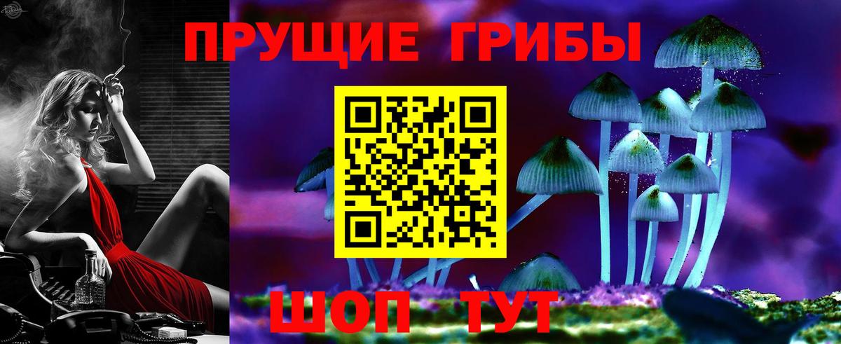 Галлюциногенные грибы Psilocybine cubensis Симферополь