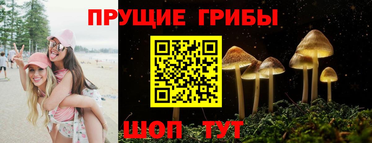 Симферополь  Псилоцибиновые грибы MAGIC MUSHROOMS  где найти наркотики  Вход с VPN 